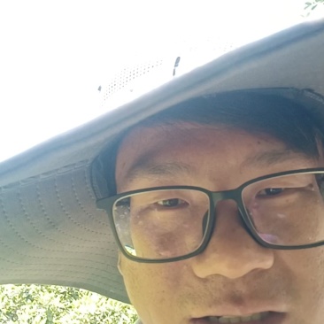 正宗奉节脐橙现摘现发果肉细腻皮薄汁多