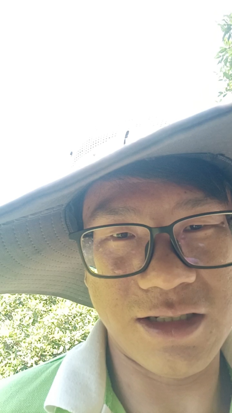 正宗奉节脐橙现摘现发果肉细腻皮薄汁多