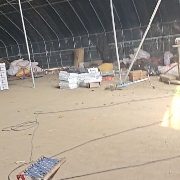 大棚草莓甜宝大量供应市场分级货通货