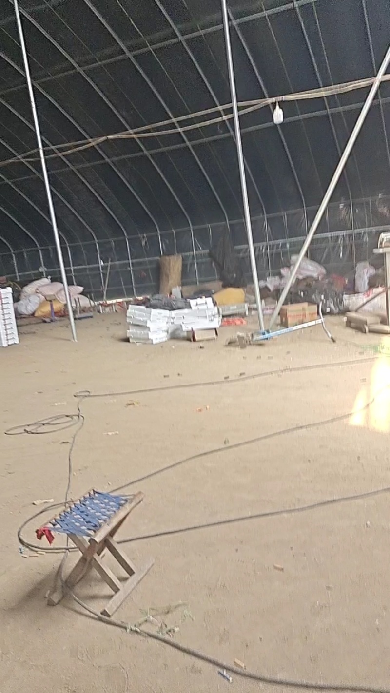 大棚草莓甜宝大量供应市场分级货通货