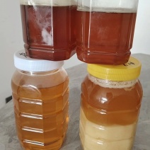 荔枝蜂蜜，龙眼蜂蜜