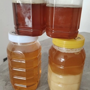 荔枝蜂蜜，龙眼蜂蜜