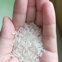精品长粒香大米，口感好吃，包装精美，量大从优，免费寄样