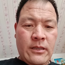 松乳菇，寒菌，谷熟菌