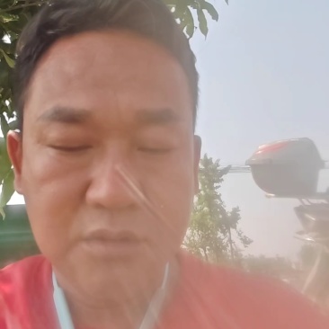白萝卜大量有货常年供应产地直发接受视频看货对接全国