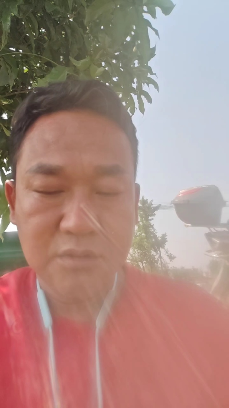 白萝卜大量有货常年供应产地直发接受视频看货对接全国