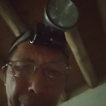 一年只采一次，野蜂蜜/野生蜂蜜，质量保证欢迎各大老板采购