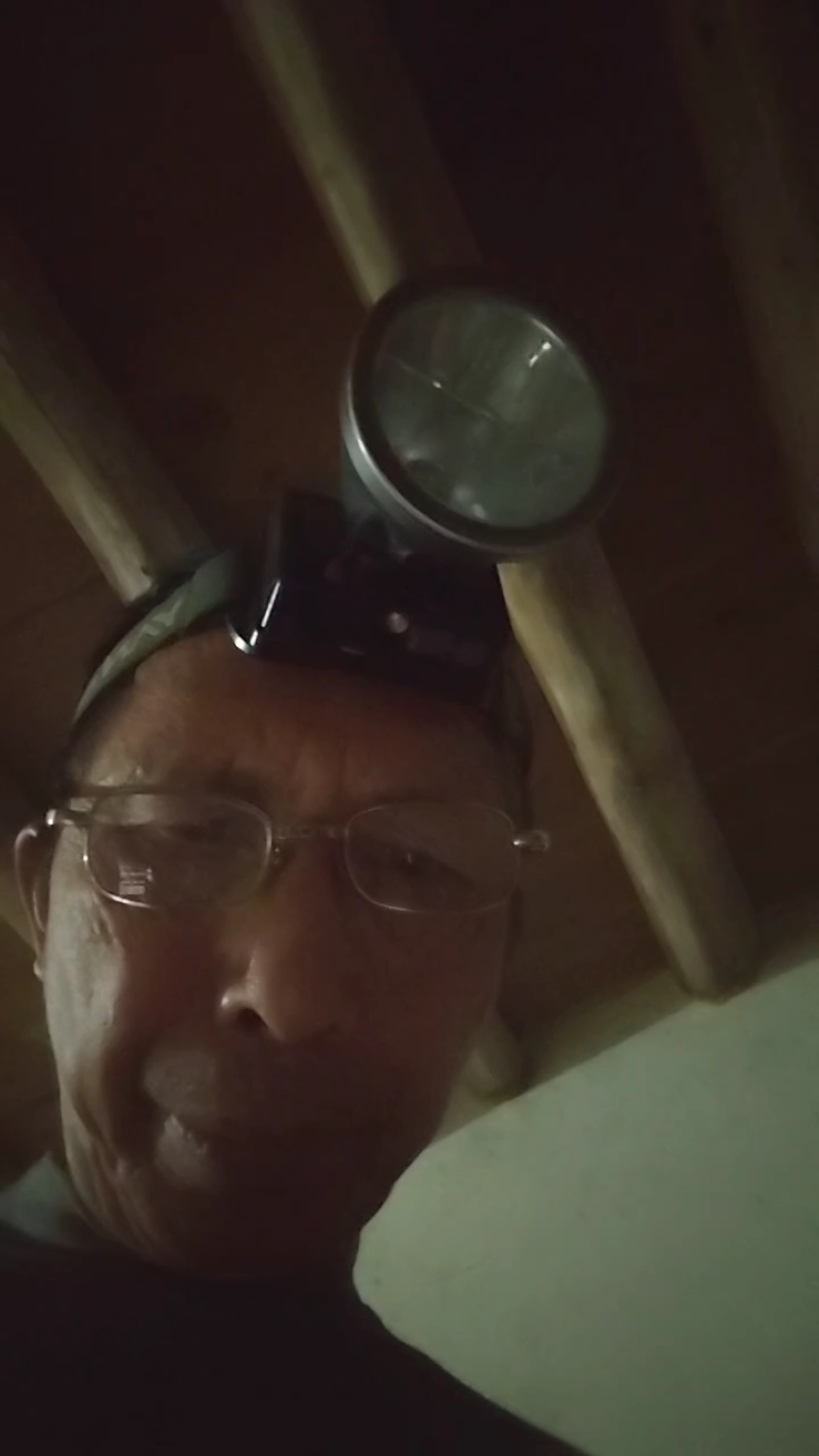 一年只采一次，野蜂蜜/野生蜂蜜，质量保证欢迎各大老板采购