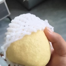 《蒲城酥梨》大量现货供应/陕西酥梨/规格齐全/可全国发货