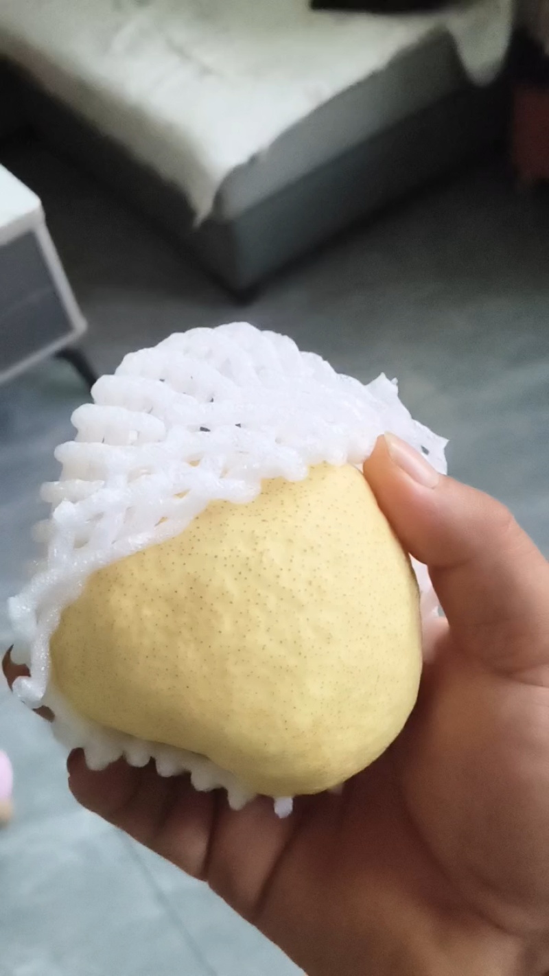 《蒲城酥梨》大量现货供应/陕西酥梨/规格齐全/可全国发货