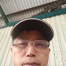 羊肚菌干品，仿野生栽培，无公害管理，羊肚菌头茬六妹