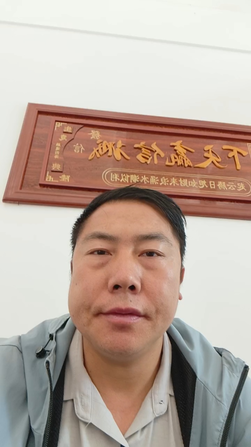 黄心白菜大白菜上市中保质保量价格实惠全国发货欢迎联系