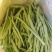 九粒白芸豆四季豆白不老可视频看货品质保证