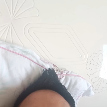 ***槐花长期有货价格美丽