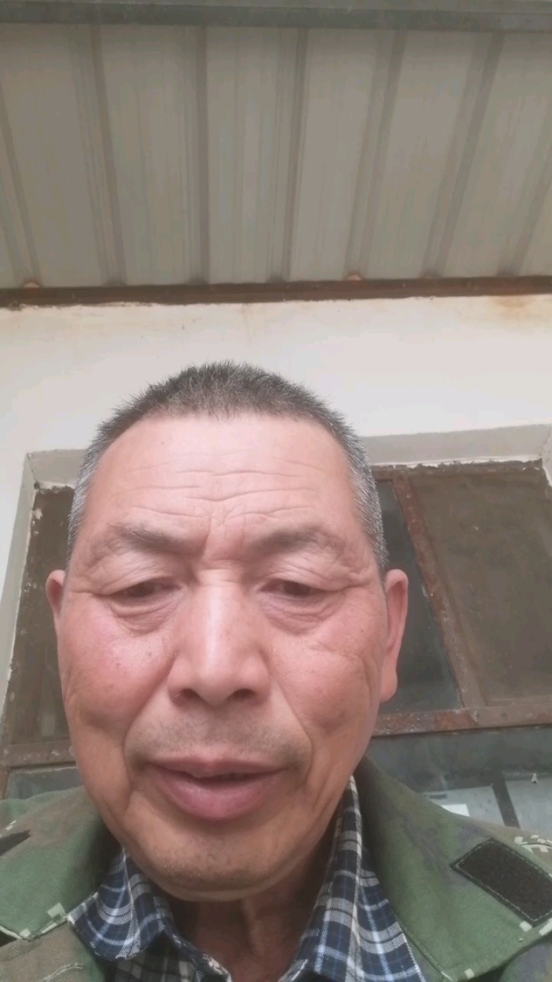 新疆纸皮185薄皮核桃资源充足供应稳定支持社区团购整车