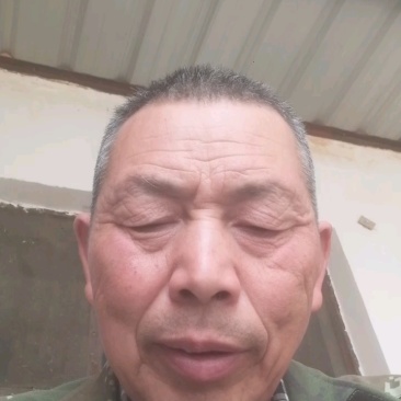 特选灰枣新疆和田灰枣支持一件代发电商平台整车批发