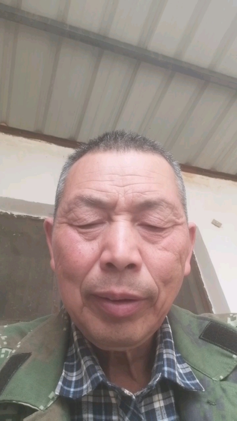 特选灰枣新疆和田灰枣支持一件代发电商平台整车批发