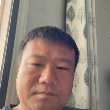 水果洋葱，带叶子的洋葱