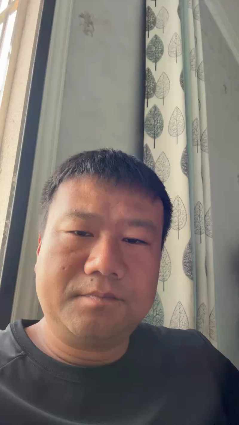 水果洋葱，带叶子的洋葱