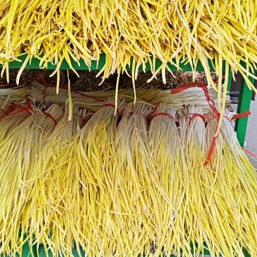 蒜黄品质保证对接各大平台商超市场有需要的进店联系