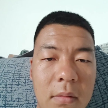 云南绿茶500g新鲜采摘特级明前茶清香纯手工原生态茶叶