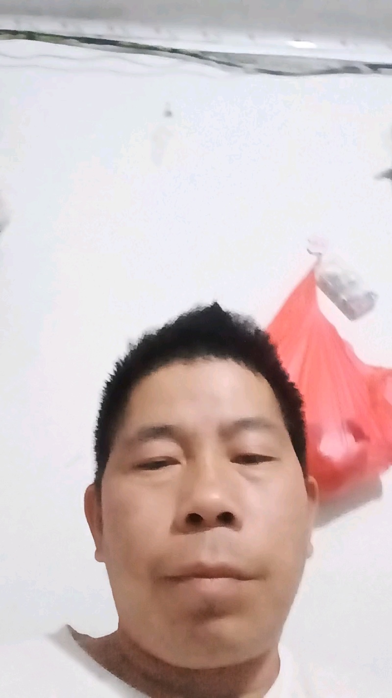 云南产地优选上海青新鲜采摘发货价格优惠货量充足欢迎咨询