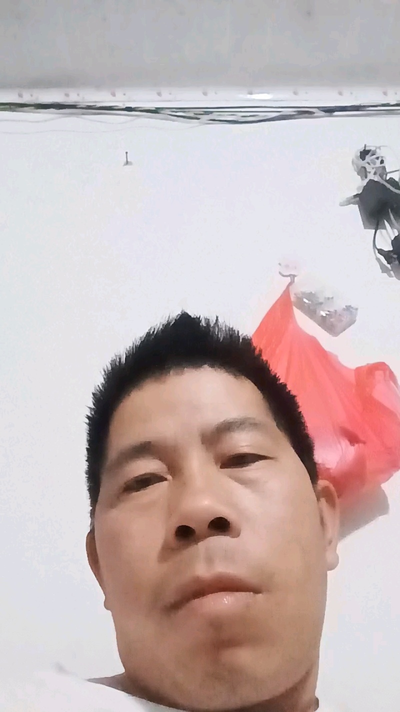黄白
