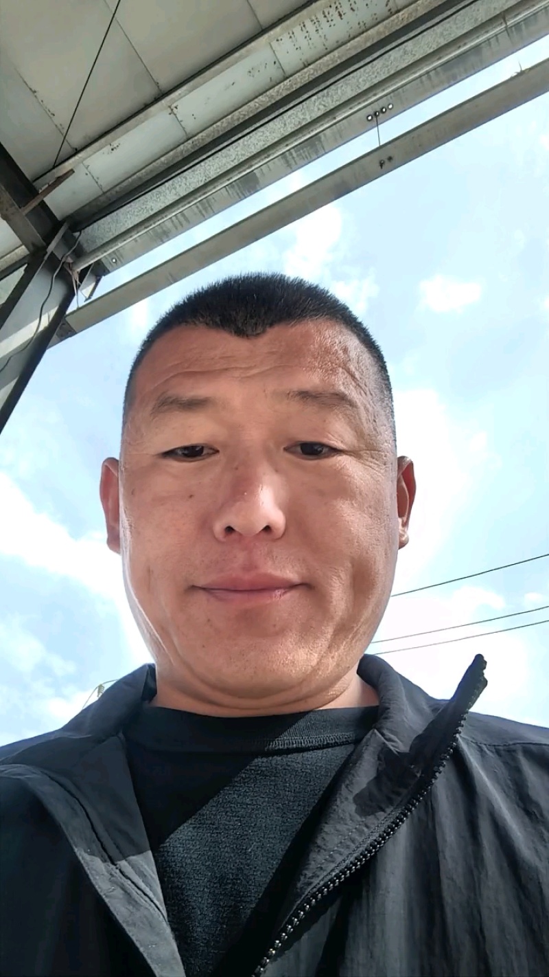 山东博洋甜瓜大量上市一手货源供应商超欢迎来电选