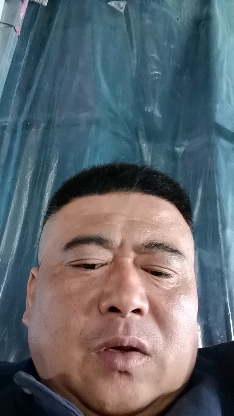 山东聊城莘县产地直发，博洋甜瓜，羊角蜜甜瓜