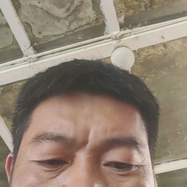 广东惠州海鸭蛋