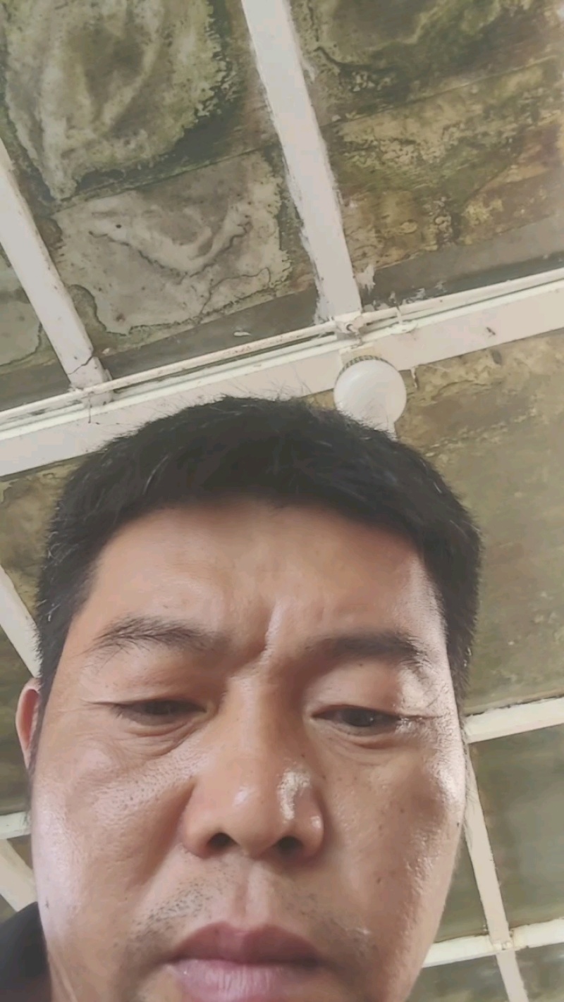 广东惠州海鸭蛋