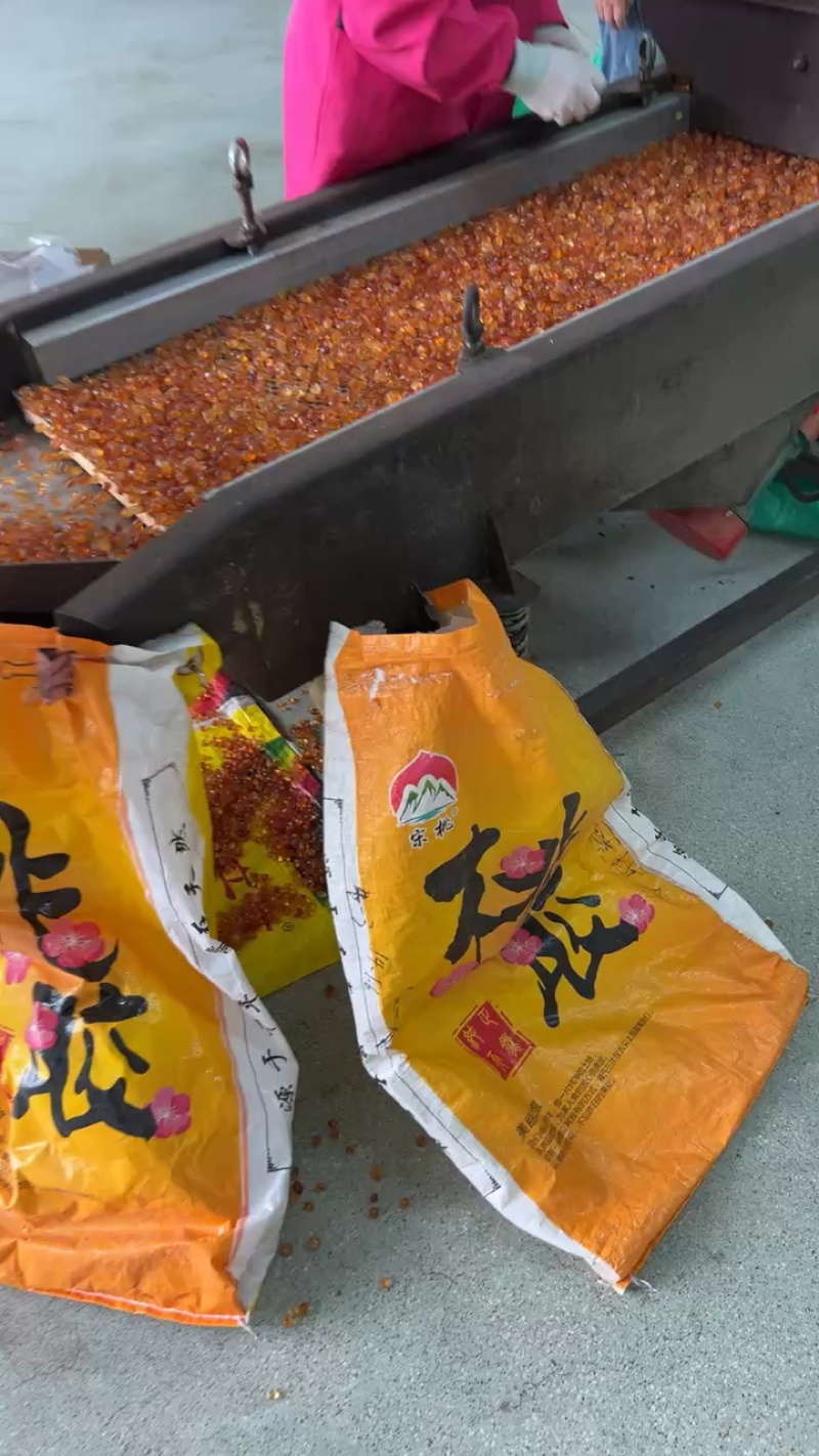 桃胶源头自产自销人工360°精修剪超大珍珠颗粒无杂质桃胶