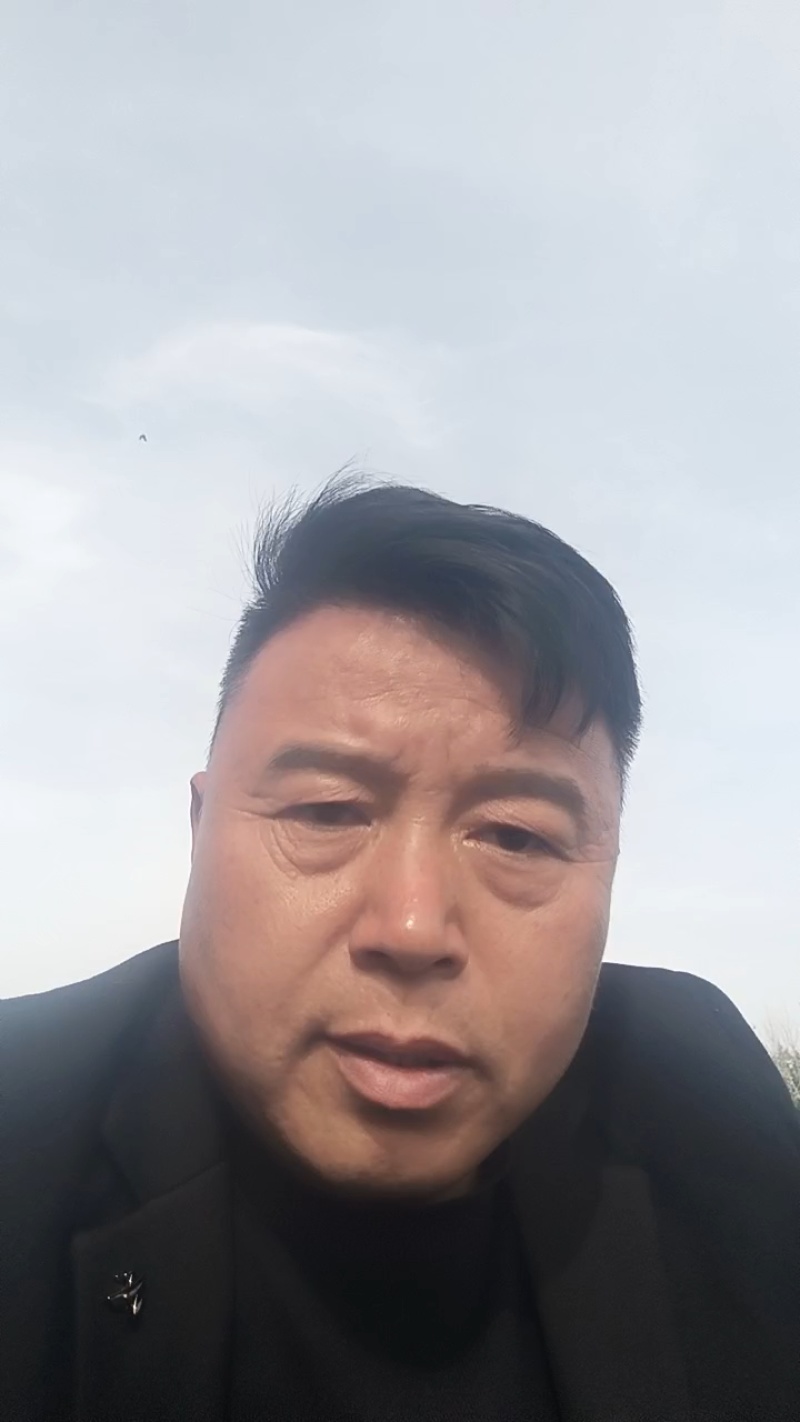 夏邑无籽8424西瓜6斤打底9成熟无籽美嘟西瓜
