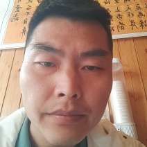 专业代办，代收代存陕西金福猕猴桃大量上市整车发货可包上车