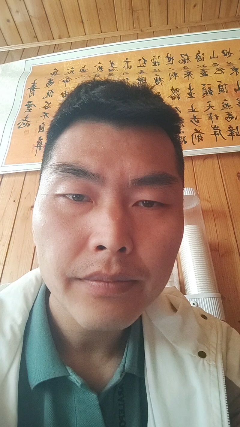 专业代办，代收代存陕西金福猕猴桃大量上市整车发货可包上车