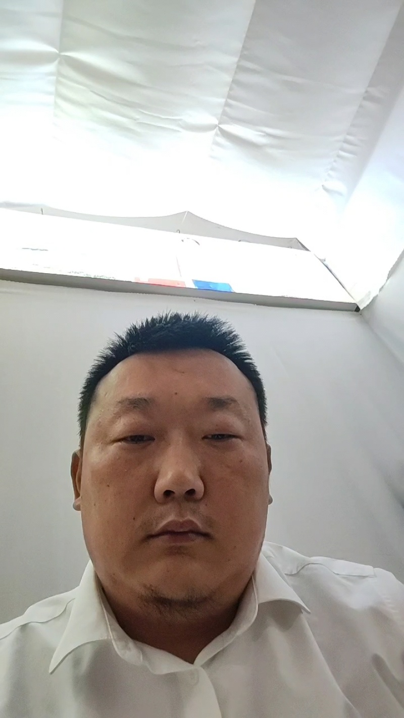 高山毛尖