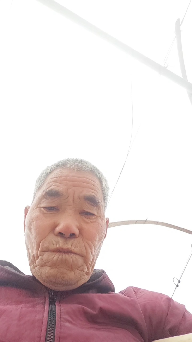 出口红香酥梨，边贸货，持续装车中