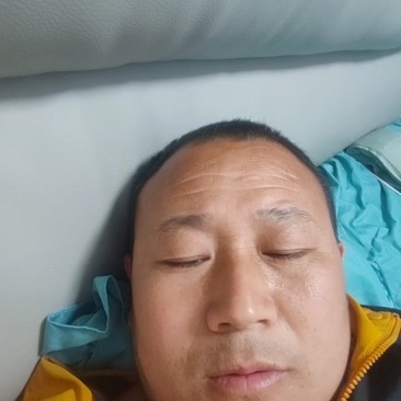 蒜苔大蒜代收代发全国