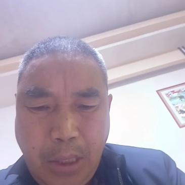 甄选重庆塔罗科血橙品质好的很可零售可批发自己种植