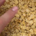 中储粮一级豆粕蛋白43个左右，去皮检测高达46%