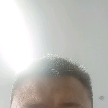 血皮菜