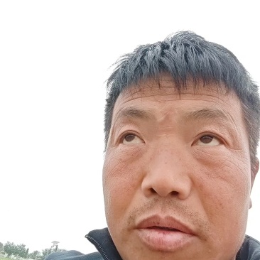 辣椒苗，小米椒