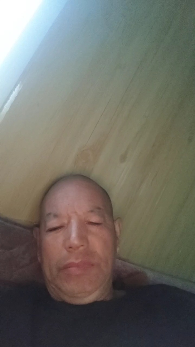 绿皮西葫芦源充足量大从优质量保证对接全国欢迎咨询