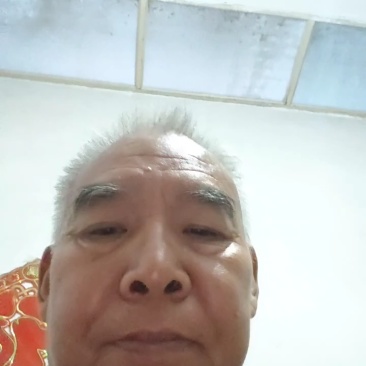 新产防风种子防风子，5斤以上非边远地区包邮！
