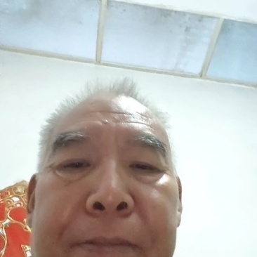 新产薏苡种子，薏米种子，草珠子，5斤以上包邮