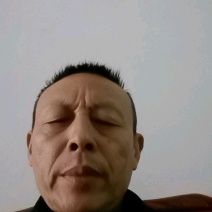 伦晚脐橙
