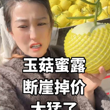 花美人甜瓜山东甜瓜