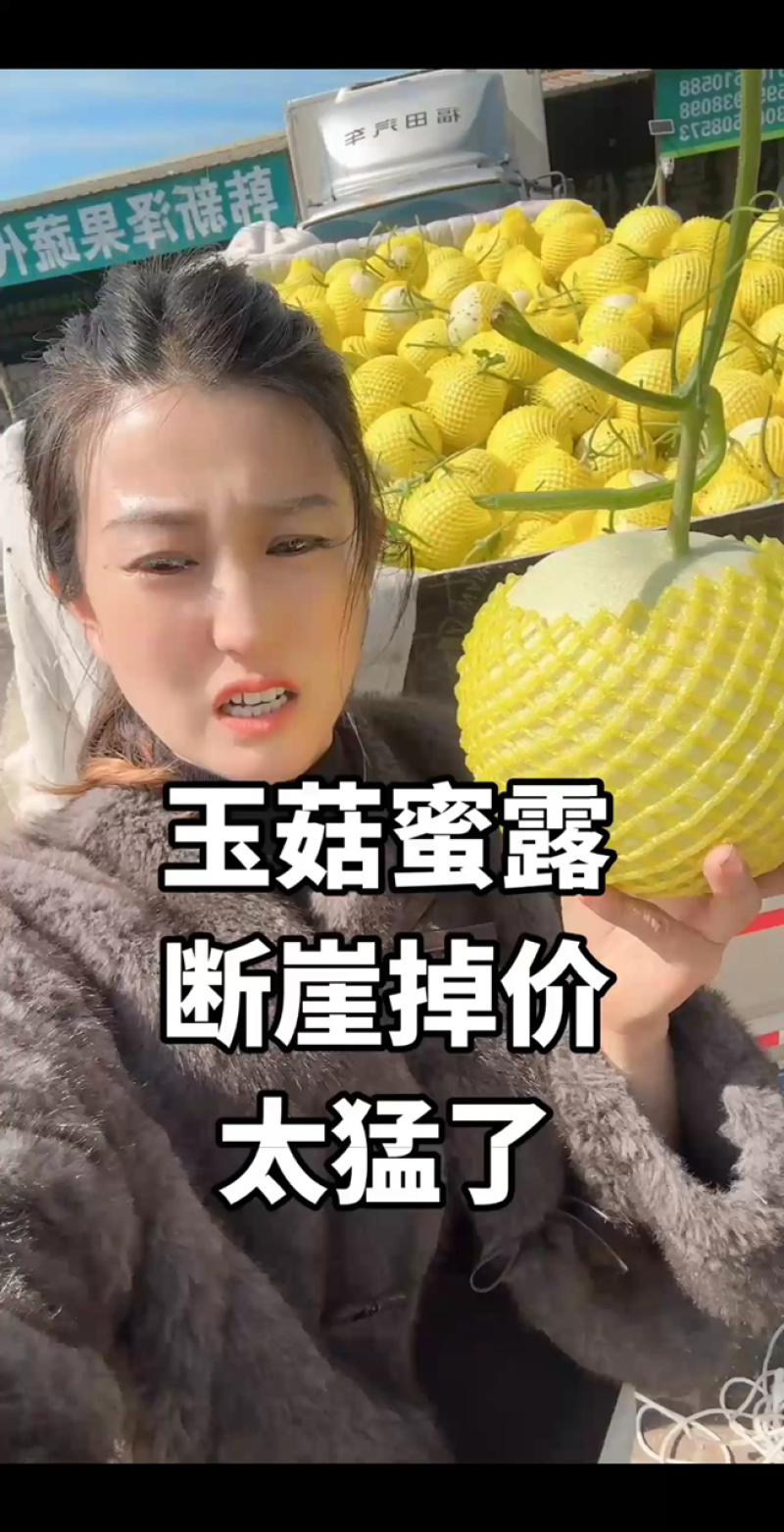 花美人甜瓜山东甜瓜