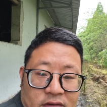 晒干鸡粪基地直发对接全国提供一条龙服务