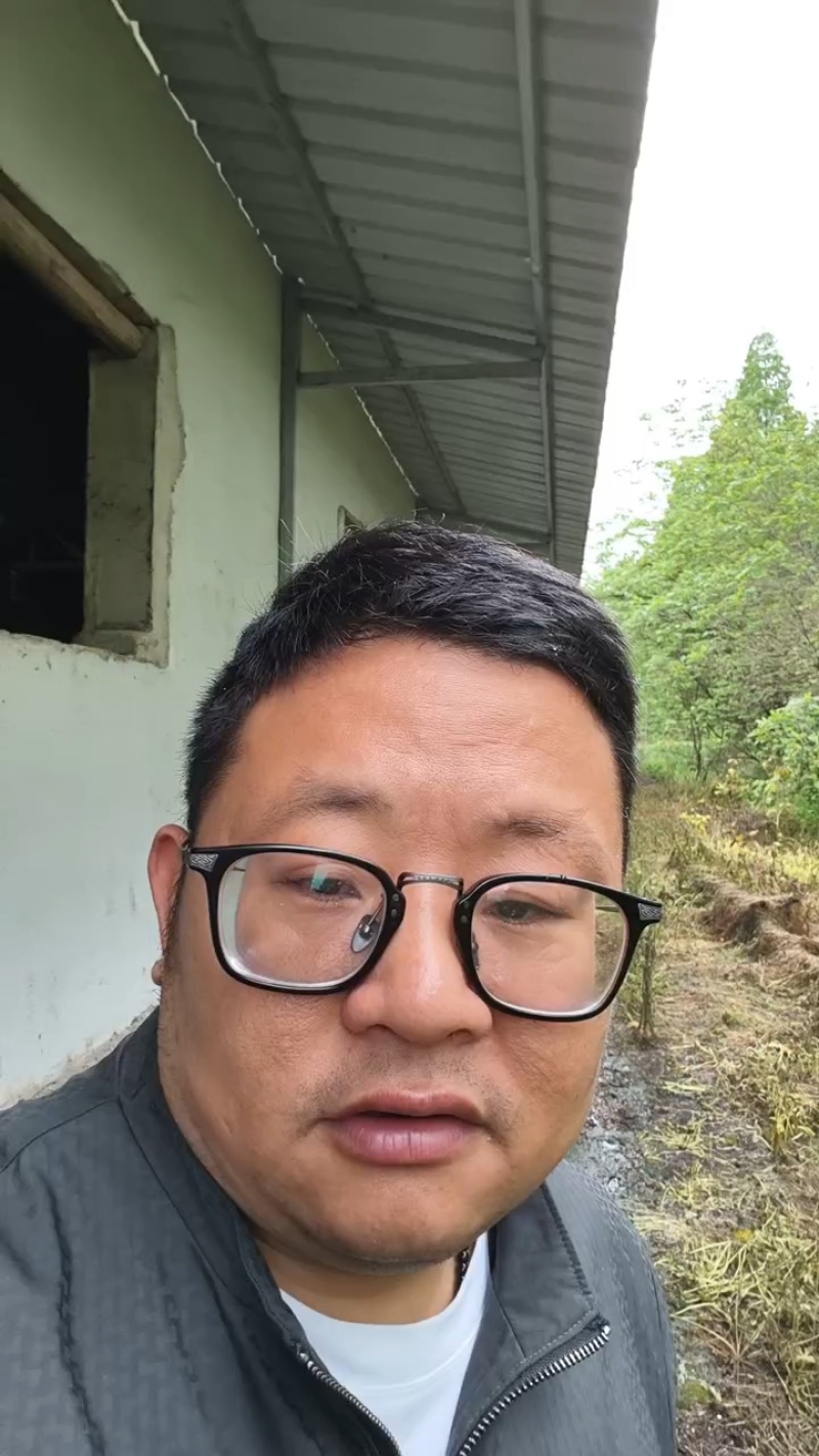 晒干鸡粪基地直发对接全国提供一条龙服务